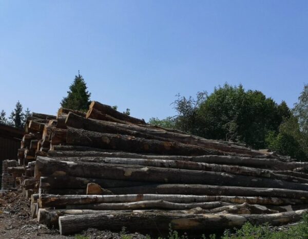 Camion de 20 stères, Hêtre Chêne Charme en grume – Image 2