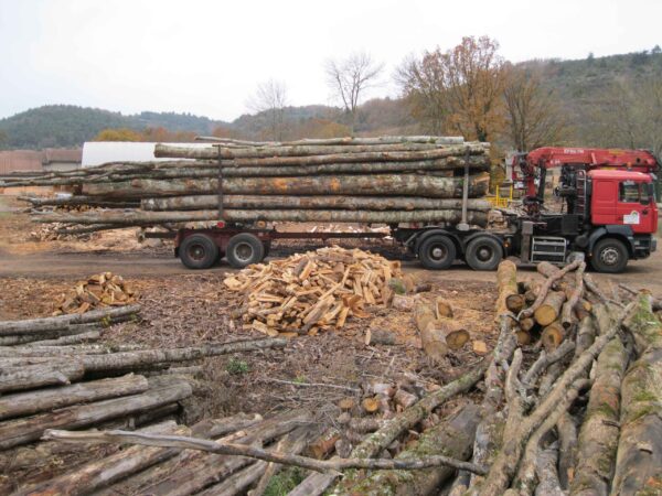 Camion de 60 stères, Hêtre Chêne Charme en grume – Image 2